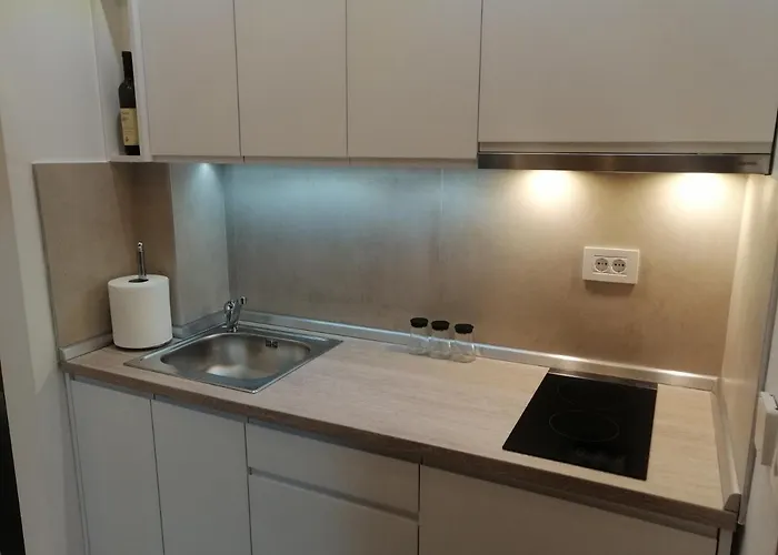 Couple Relax - Elsa 1 S34 Apartment Zlatibor